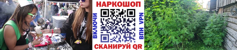 Магазины продажи наркотиков Олонец COCAIN  Амфетамин  Псилоцибиновые грибы  Codein  Марихуана 