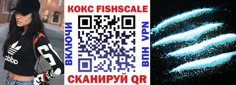 где найти Олонец COCAIN 98%