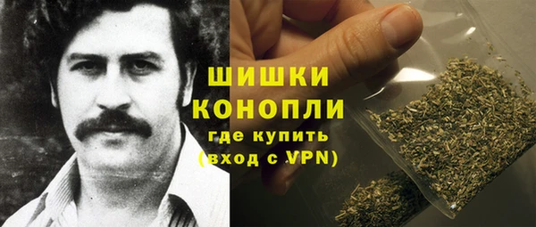 шишки Новокубанск