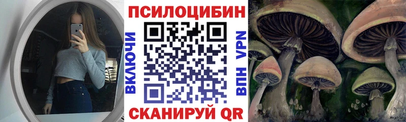как найти закладки  Олонец  Псилоцибиновые грибы Psilocybine cubensis 